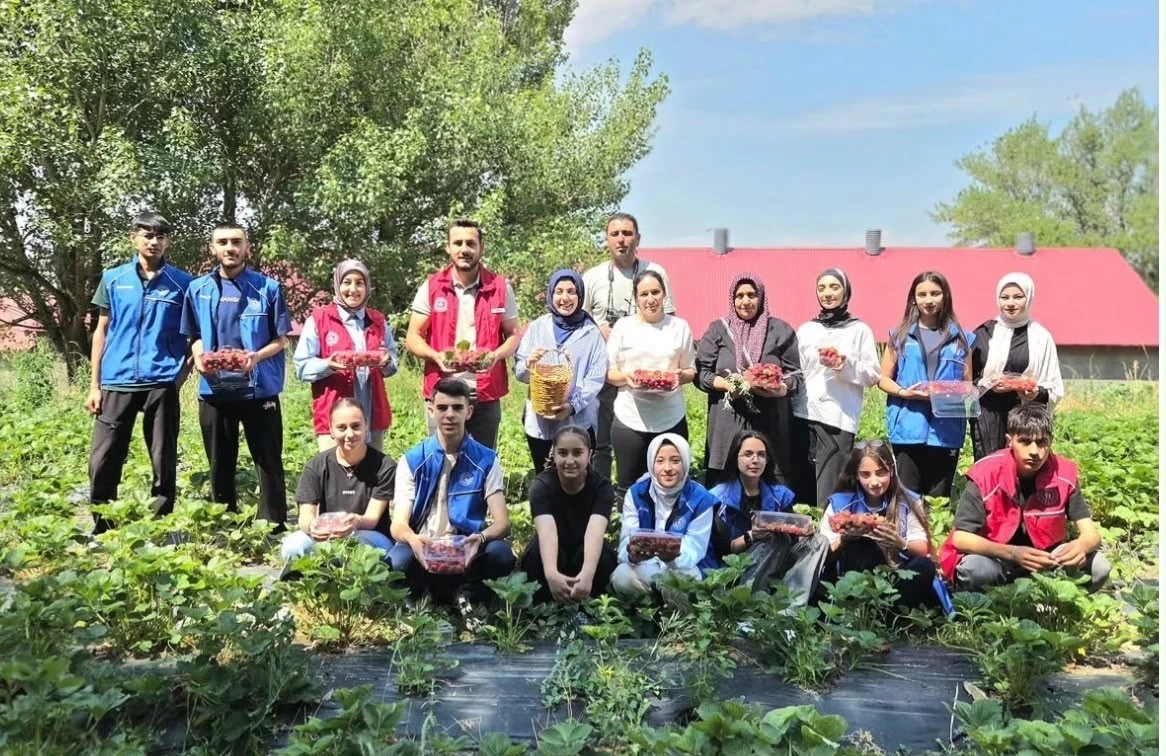 Ağrılı g&ouml;n&uuml;ll&uuml; gen&ccedil;lerden &ccedil;ilek hasadına destek
