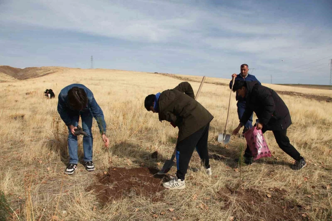 Ahlat’ta &quot;Maziden Atiye&quot; programı kapsamında öğrenciler fidan dikti
