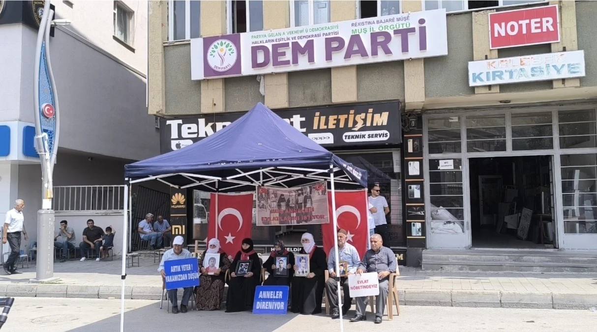 Ailelerden ortak mesaj: &quot;Terör bitsin, evlatlarımız geri dönsün&quot;
