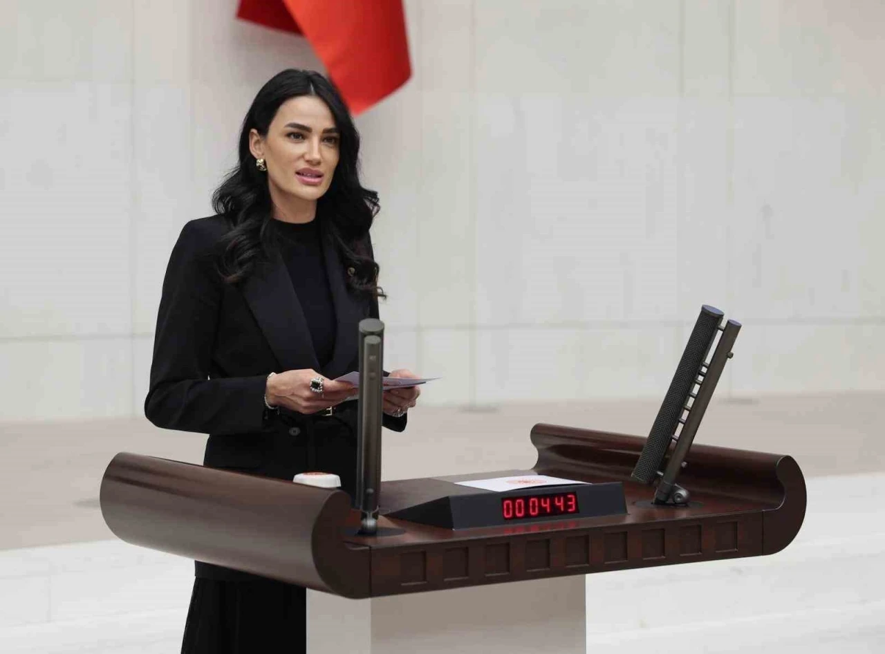 AK Parti Aydın Milletvekili Sarıbaş; Başarıyı gölgeleyemezsiniz, kronik önyargılarınızdan kurtulun
