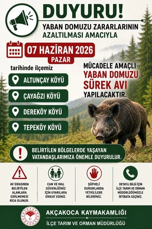 Ak&ccedil;akoca&rsquo;da domuz avı yapılacak
