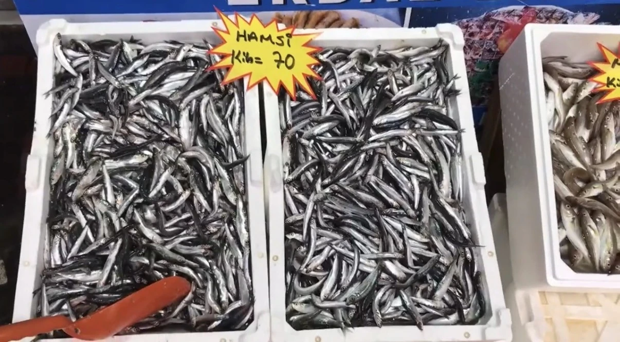 Akçakoca’dan balık tüketicilerine uyarı: &quot;Buzhane balığına dikkat&quot;
