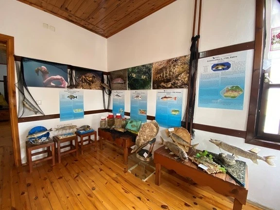 Akçakoca sualtı dünyası
