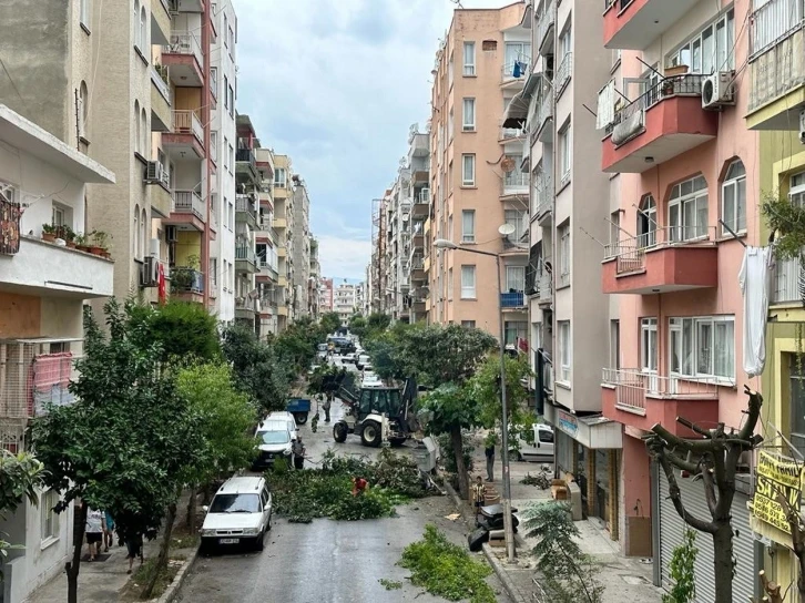 Akdeniz&rsquo;de budama &ccedil;alışmaları s&uuml;r&uuml;yor
