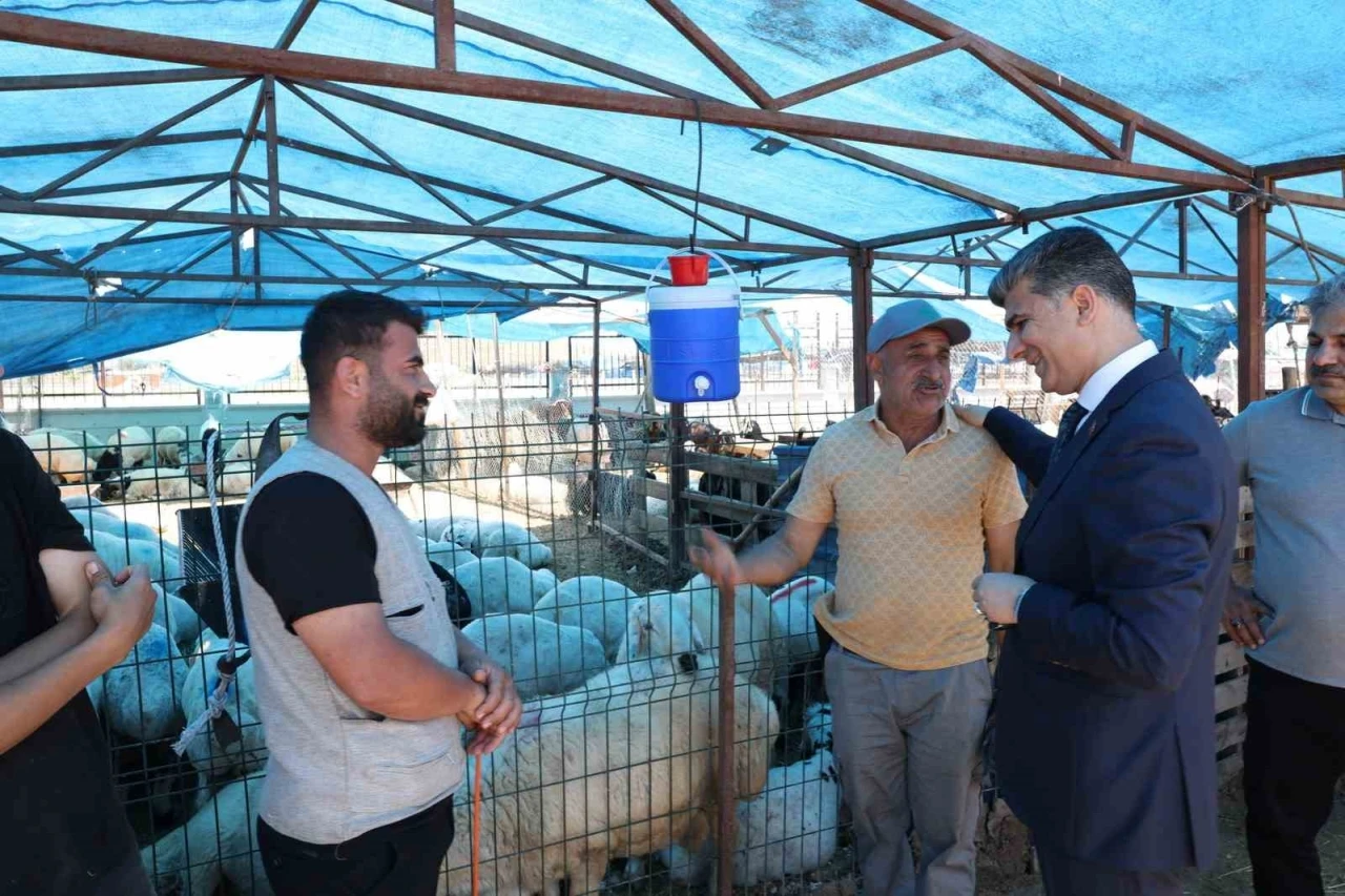 Akdeniz’de kurban satış yerleri hazır
