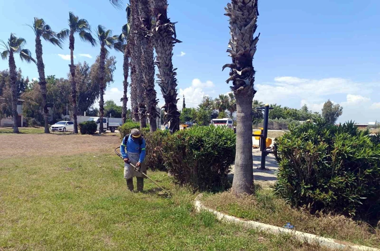 Akdeniz’de park ve bahçelere yaz bakımı
