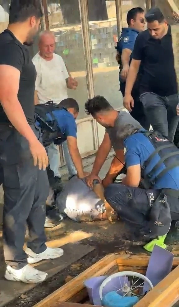 Akli dengesi yerinde olmadığı &ouml;ğrenilen şahıstan yarım milyon liraya yakın nakit &ccedil;ıktı
