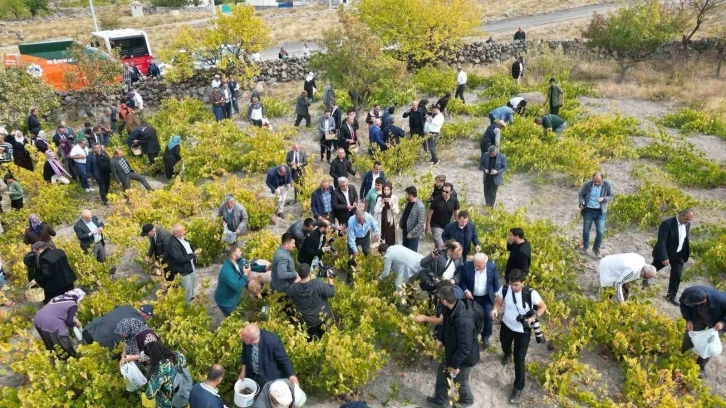 Aksaray&rsquo;da 2. Geleneksel Bağ Bozumu ve Pekmez Festivali
