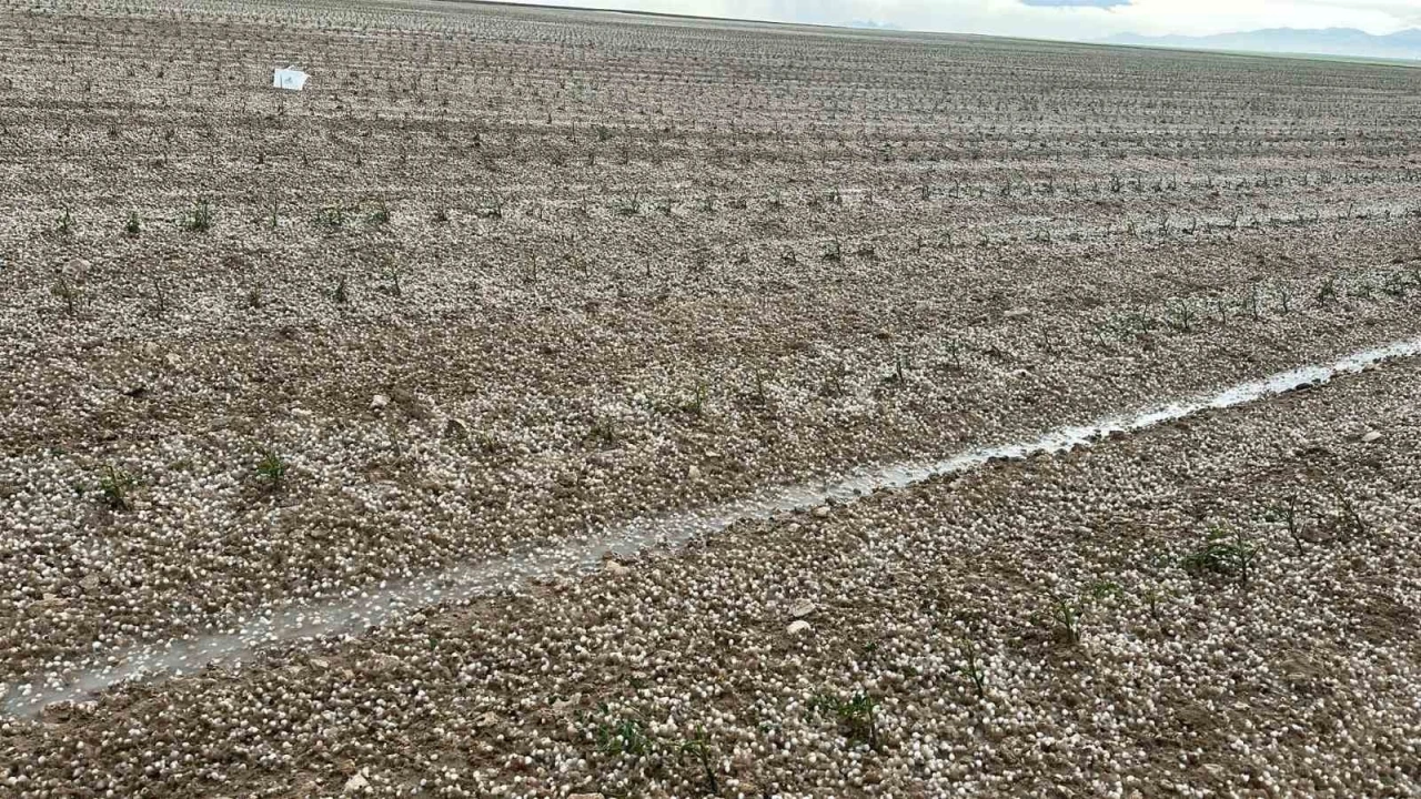 Aksaray’da sağanak ve dolu tarım arazilerini vurdu
