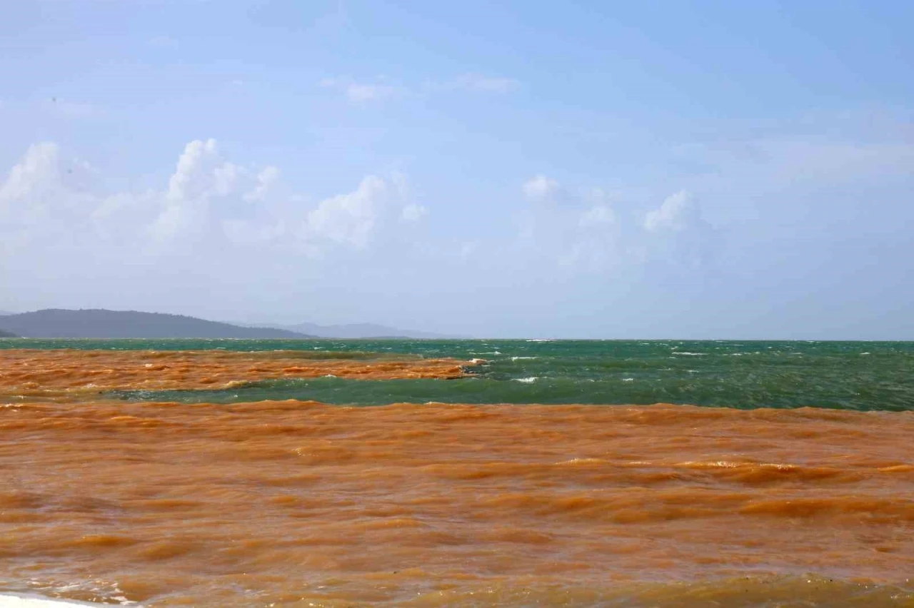 Akyaka&rsquo;da denizin rengi kahverengiye d&ouml;nd&uuml;
