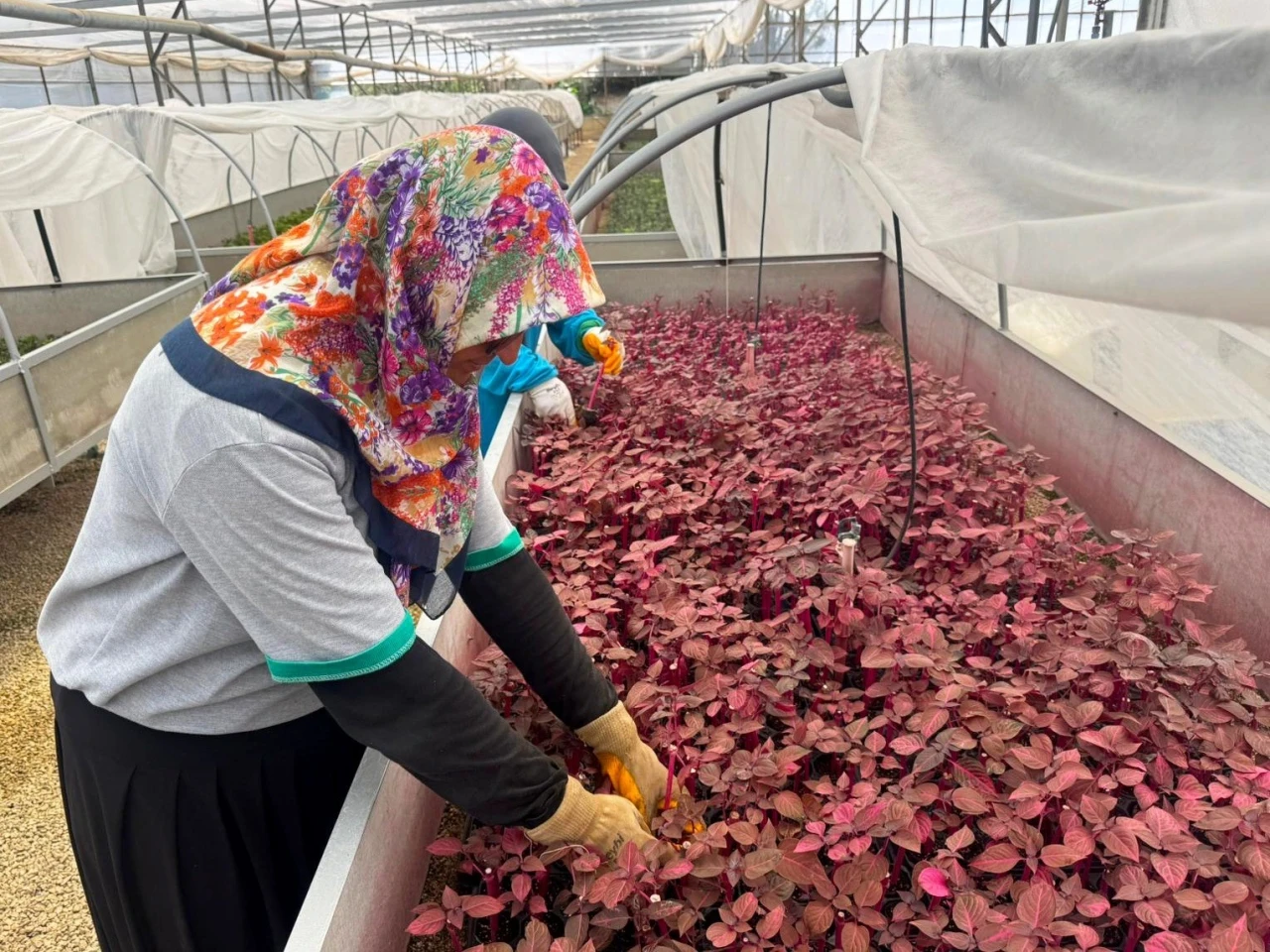 Alanya Belediyesi’nde kadınlar sahada
