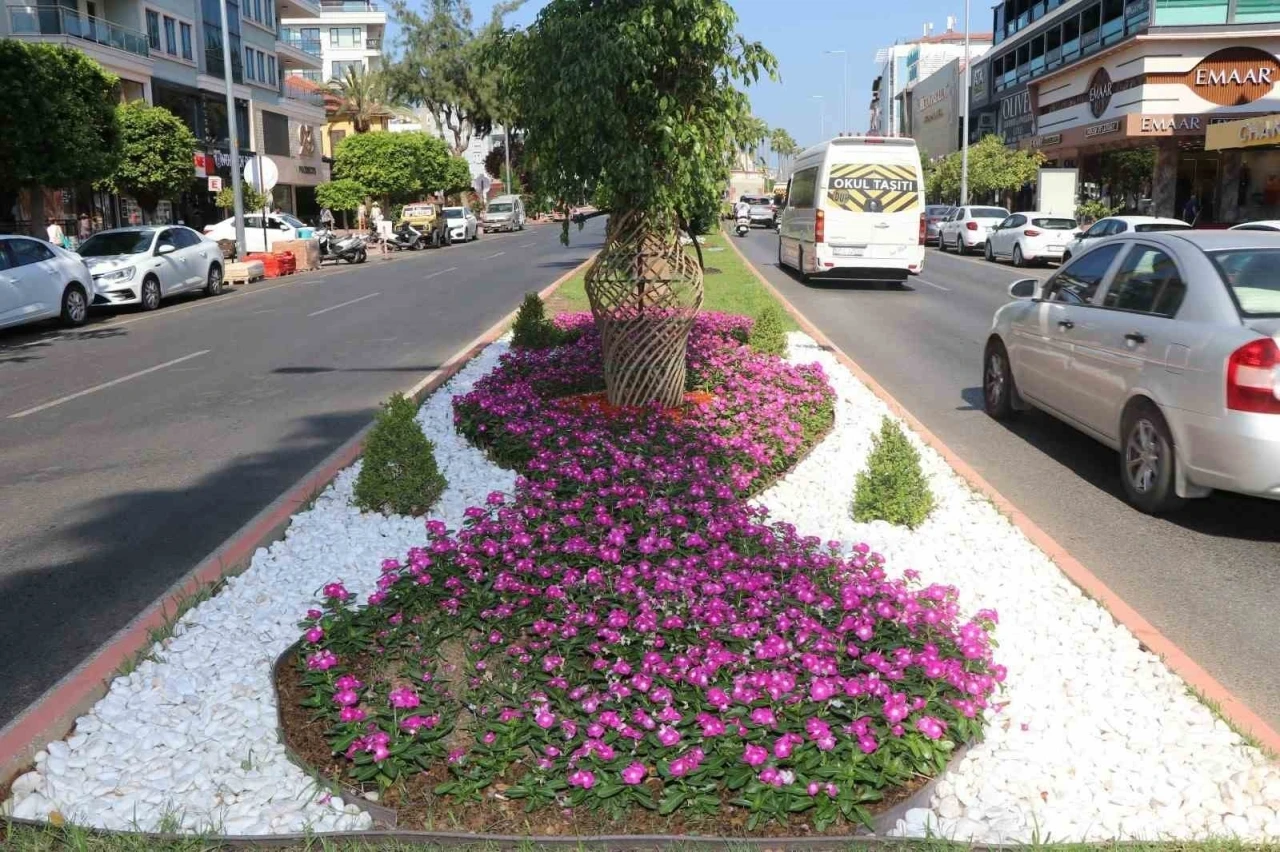 Alanya Belediyesi&rsquo;nden yeşil alanlarda yoğun mesai
