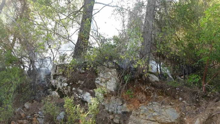 Alanya&rsquo;da &ccedil;ıkan orman yangını b&uuml;y&uuml;meden kontrol altına alındı
