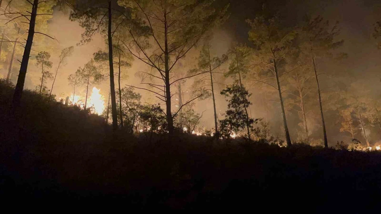 Alanya’da ormanlık alandaki yangın
