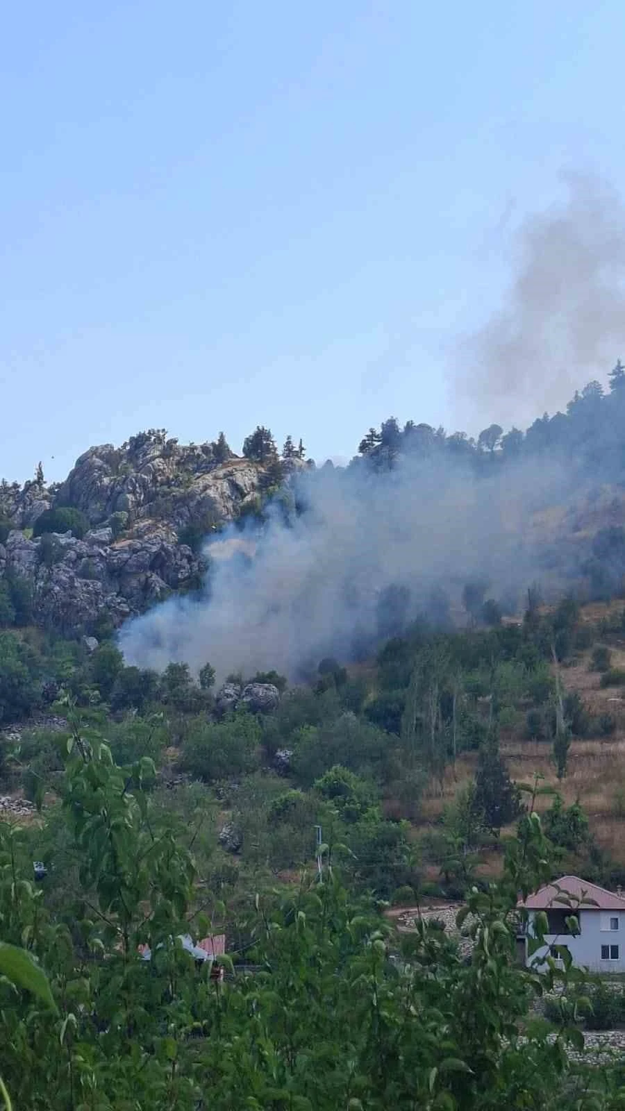 Alanya&rsquo;da zirai alanda &ccedil;ıkan yangın s&ouml;nd&uuml;r&uuml;ld&uuml;
