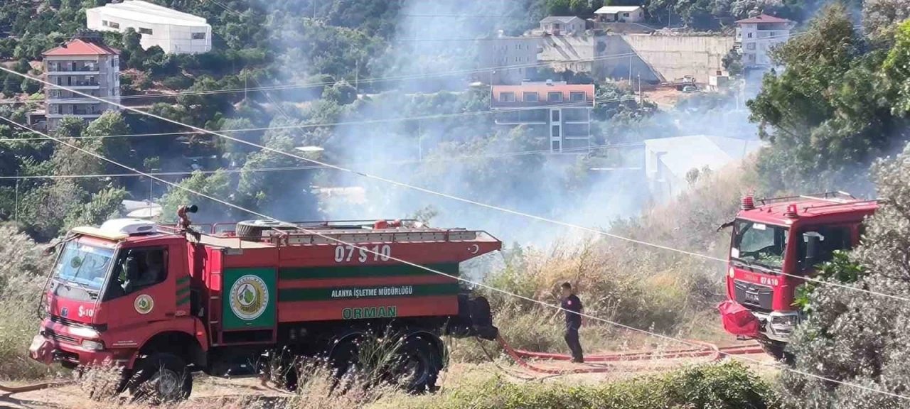 Alanya&rsquo;da zirai alanda &ccedil;ıkan yangında 1 d&ouml;n&uuml;m zarar g&ouml;rd&uuml;
