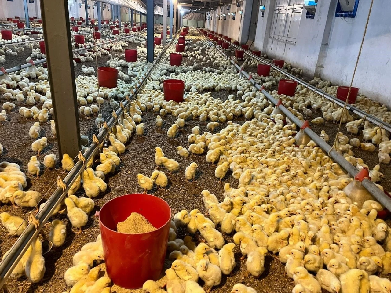 Alaplı&rsquo;da k&uuml;mes yangını korkuttu
