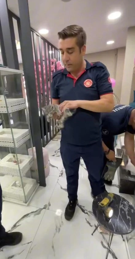 Alçıpan arasında mahsur kalan yavru kedileri itfaiye kurtardı
