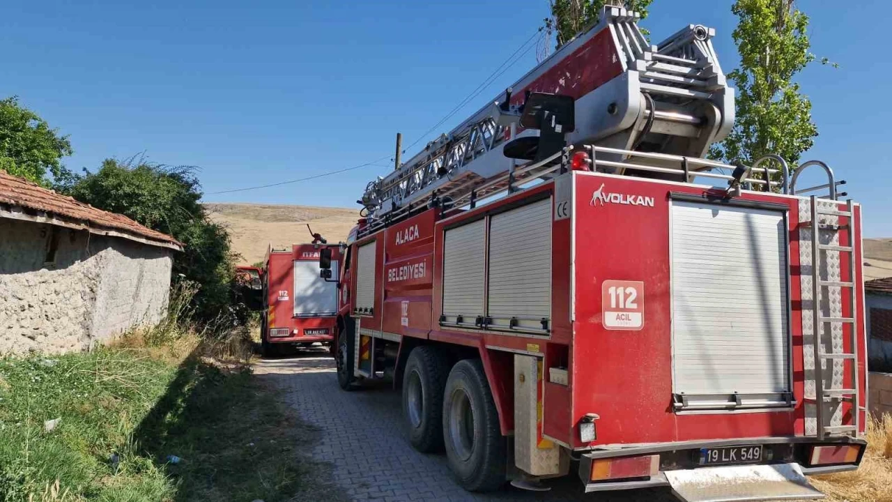 Alevlere teslim olan 3 ev ve 160 dönüm arazi zarar gördü, 2 kişi gözaltına alındı
