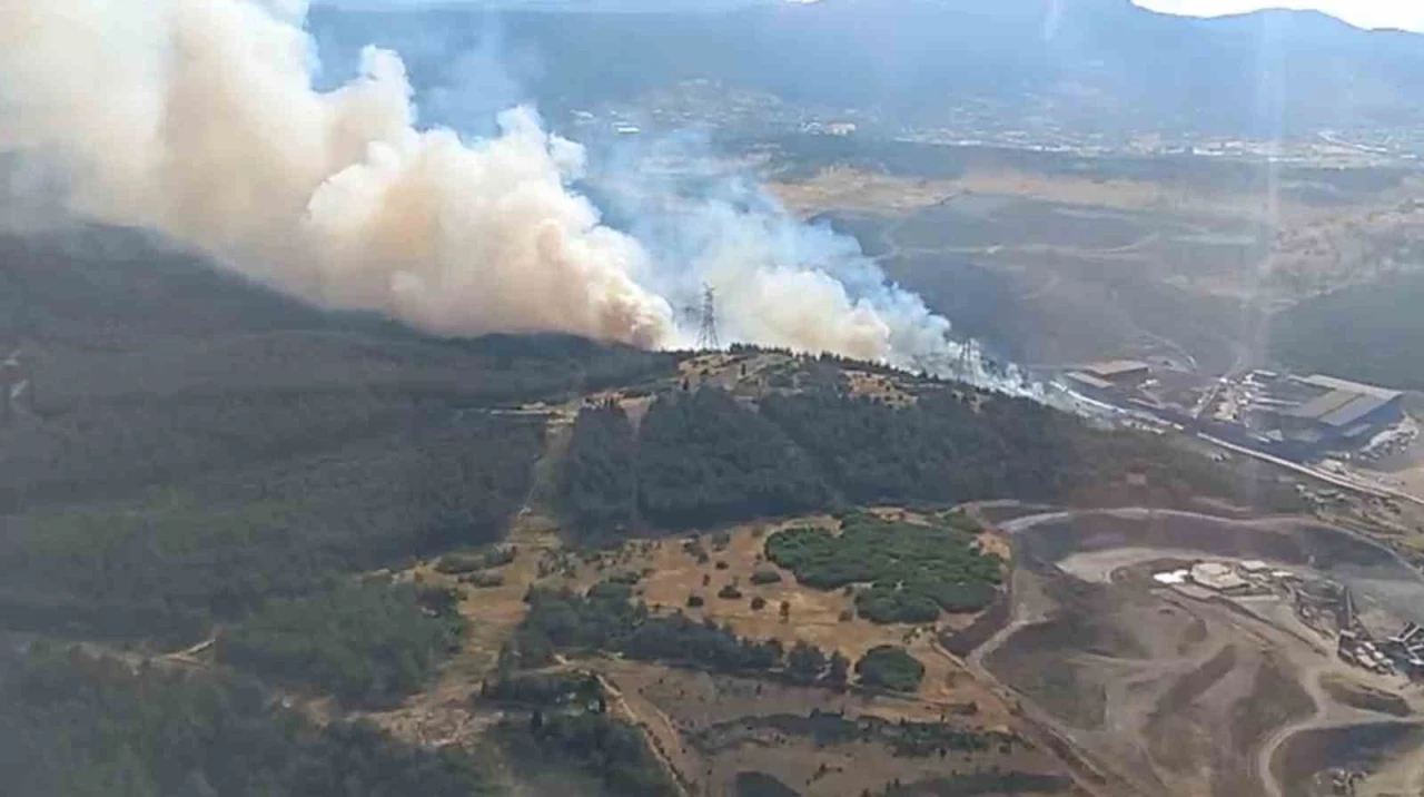 Aliağa’da orman yangını
