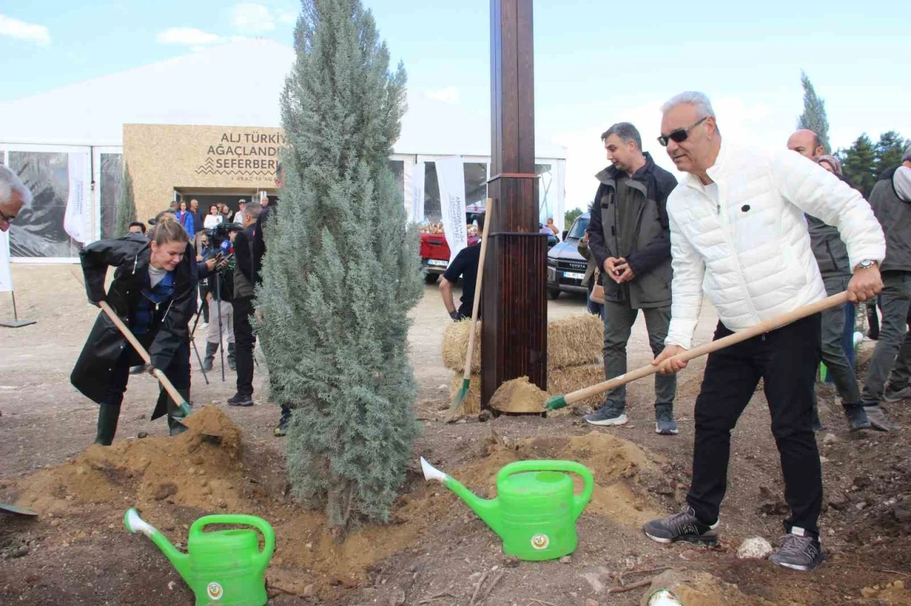 ALJ Türkiye, İzmir’de 312 bin fidanı toprakla buluşturdu
