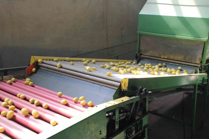 Almanya&rsquo;nın limonu Kozan&rsquo;dan
