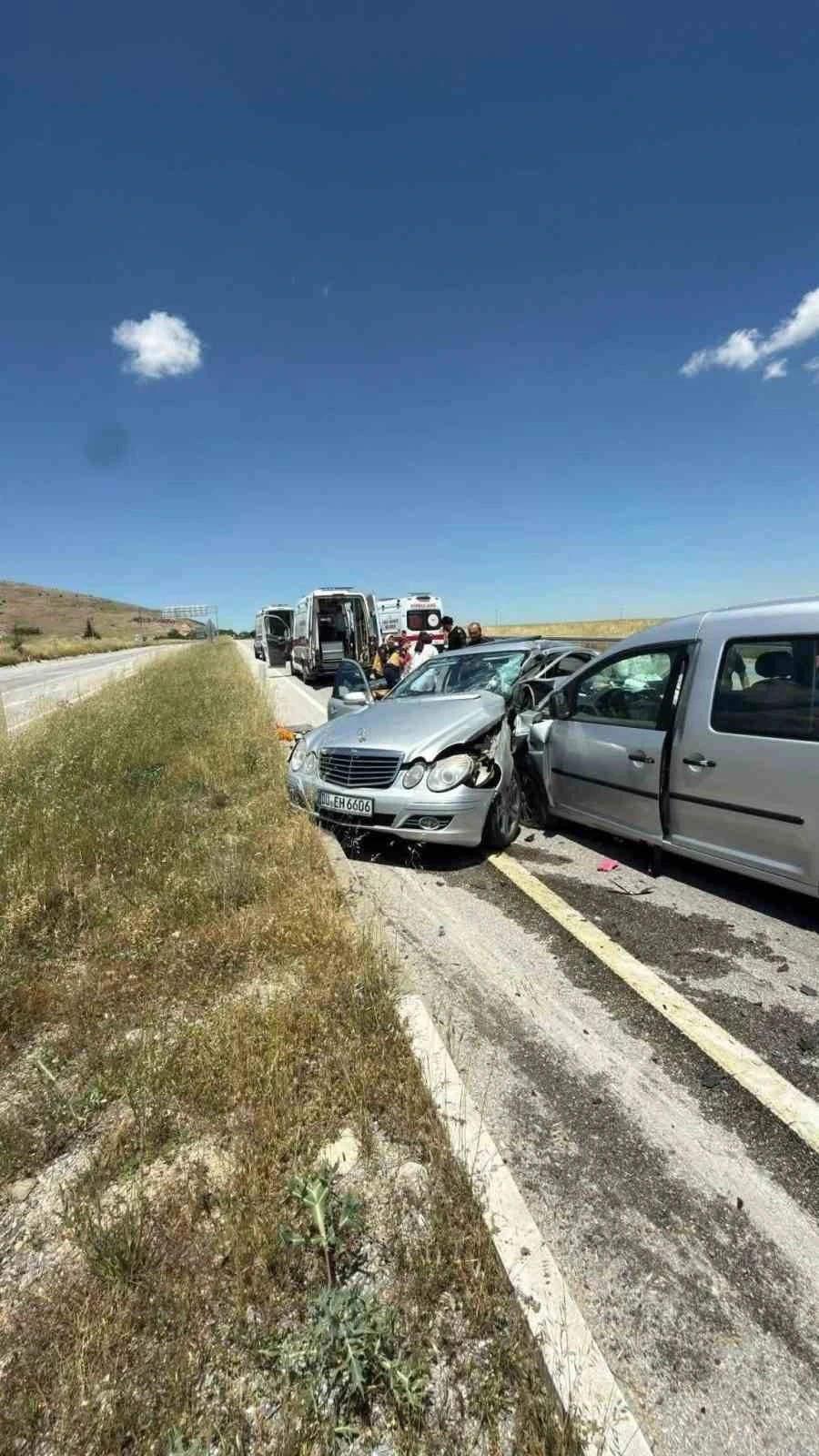 Almanyalı gurbet&ccedil;i kazada hayatını kaybetti
