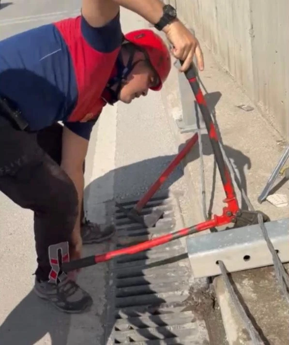 Alt geçitteki refüj demirinin içinde sıkışan yavru kedi kurtarıldı
