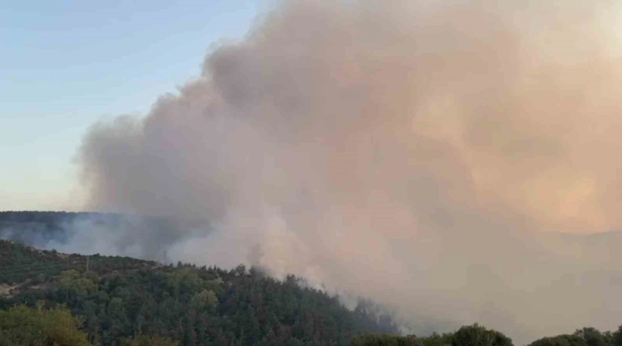 Altıeylül’deki orman yangınına müdahale sürüyor
