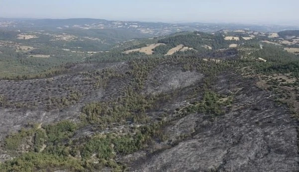 Altıeylül’deki yangın havadan görüntülendi
