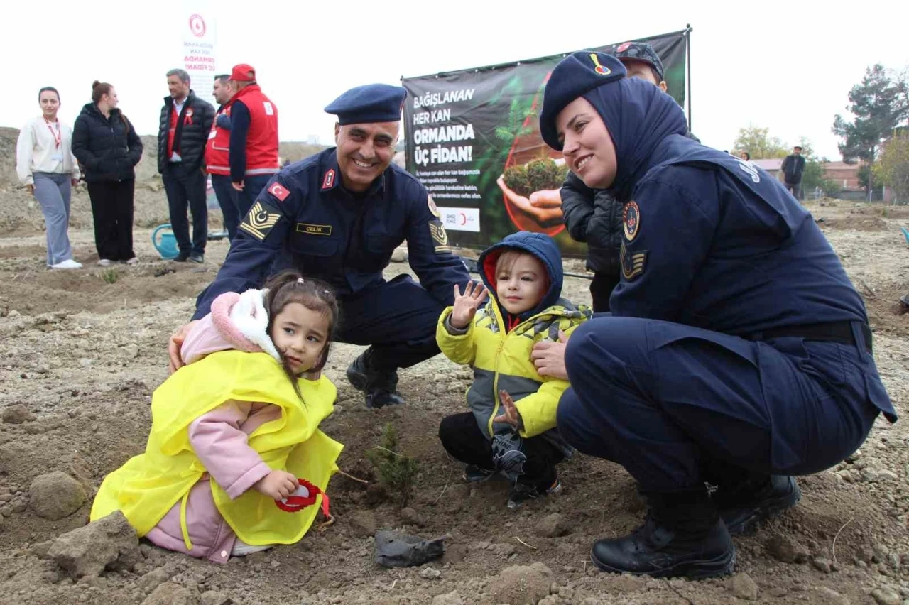 Amasya’da 4 binden fazla fidan toprakla buluştu
