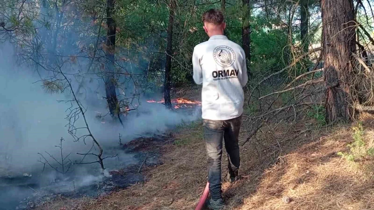 Amasya’da orman yangını
