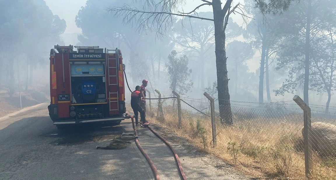 Anız yangını ormana sıçradı, 16 hektar kül oldu
