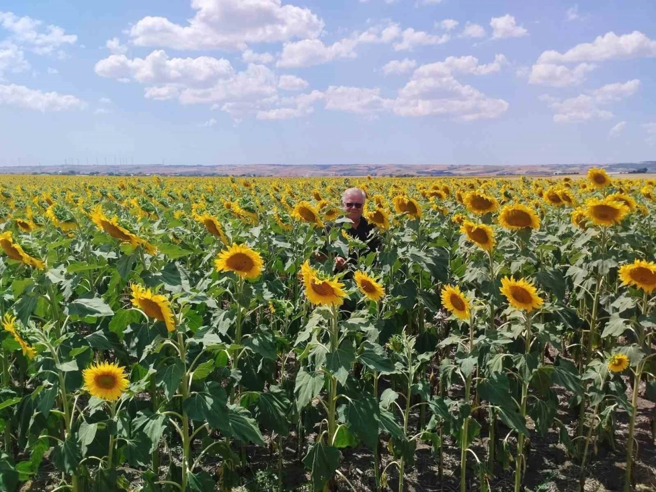 Anıza ay&ccedil;i&ccedil;eği ekimi yapan &ccedil;ift&ccedil;i kazanıyor
