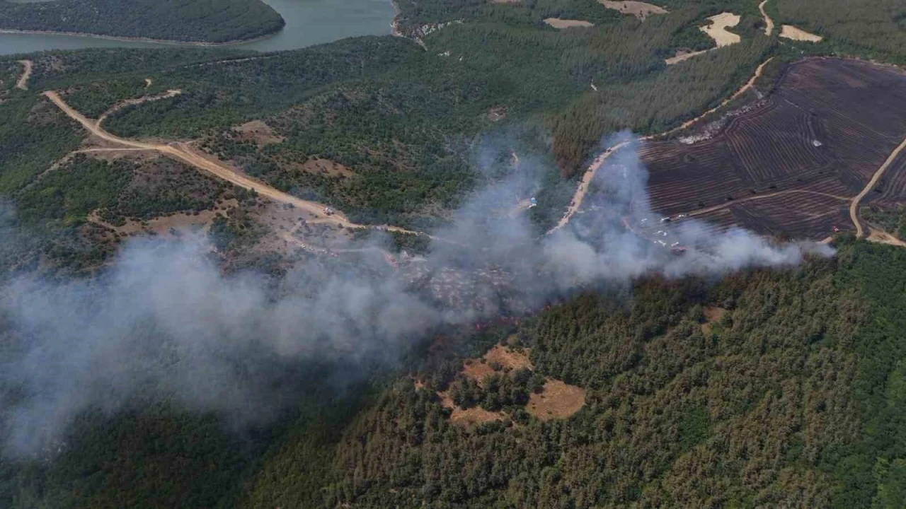 Anızdan ormana sı&ccedil;rayan yangın dron ile g&ouml;r&uuml;nt&uuml;lendi
