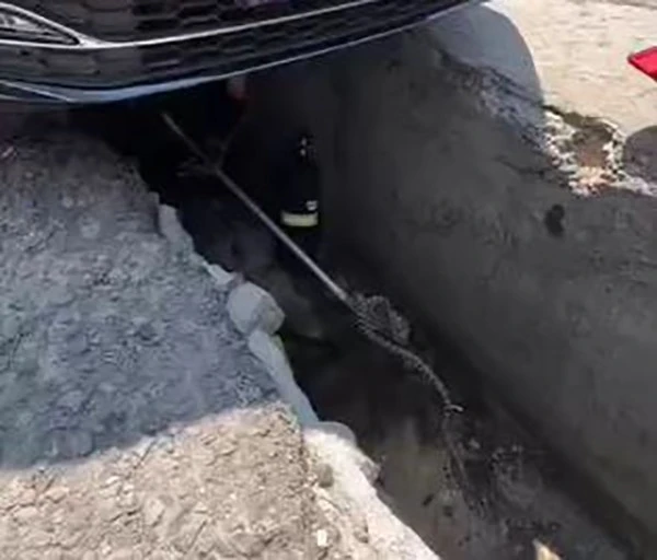 Ankara’da aracın altına giren yılan çıkarıldı
