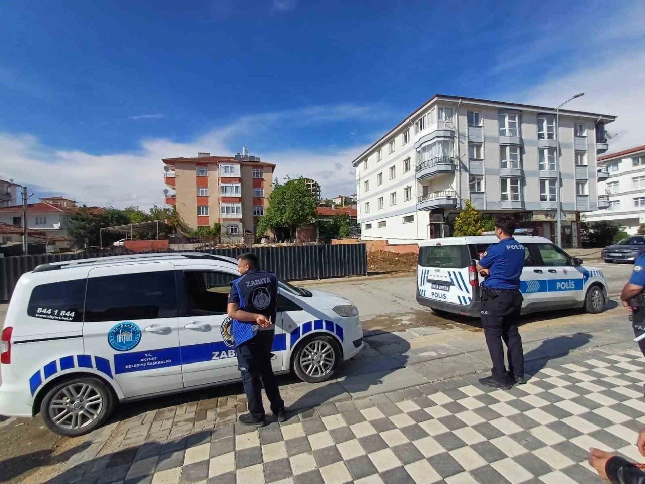 Ankara’da kaçan dana yaşlı kadını yaraladı
