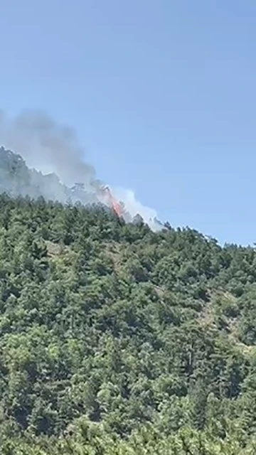 Ankara’da orman yangını çıktı
