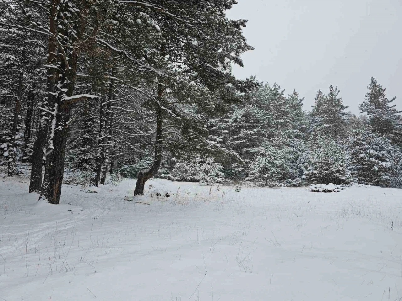 Ankara&rsquo;da yaylalar beyaza b&uuml;r&uuml;nd&uuml;
