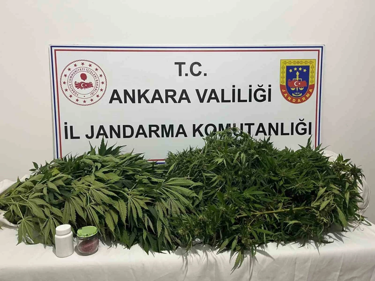 Ankara&rsquo;daki narkotik operasyonunda 150 k&ouml;k kenevir ele ge&ccedil;irildi
