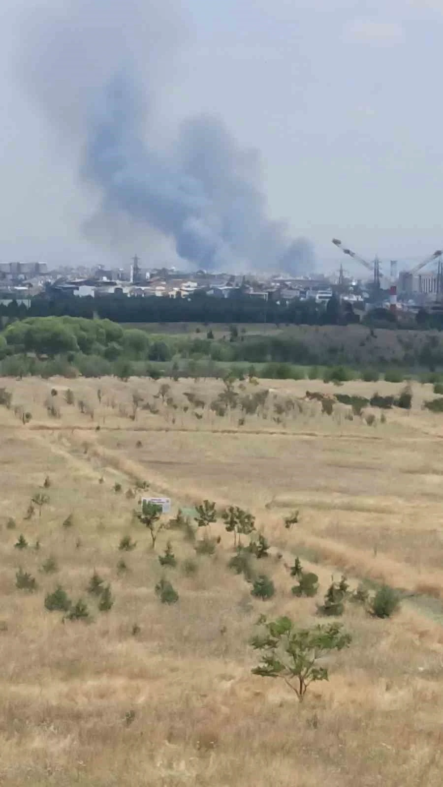 Ankara&rsquo;daki ot yangını kontrol altına alındı
