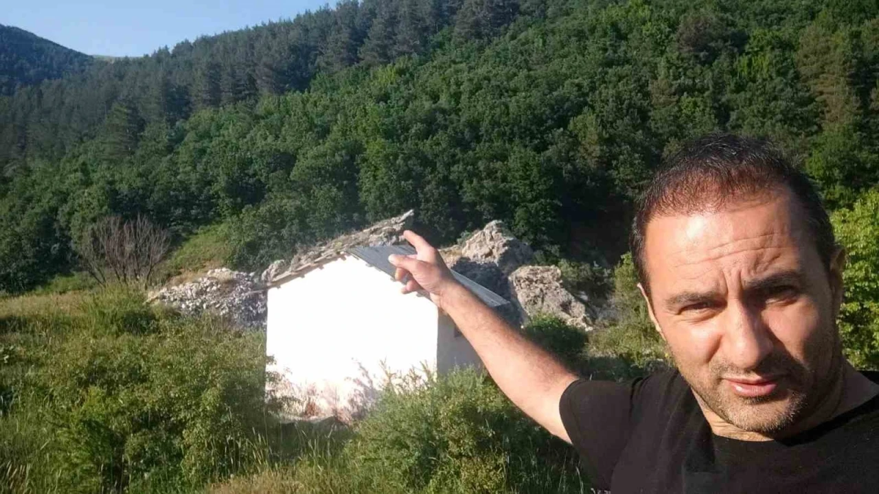 Anne ayı ve 3 yavrusu arazide g&ouml;r&uuml;nt&uuml;lendi
