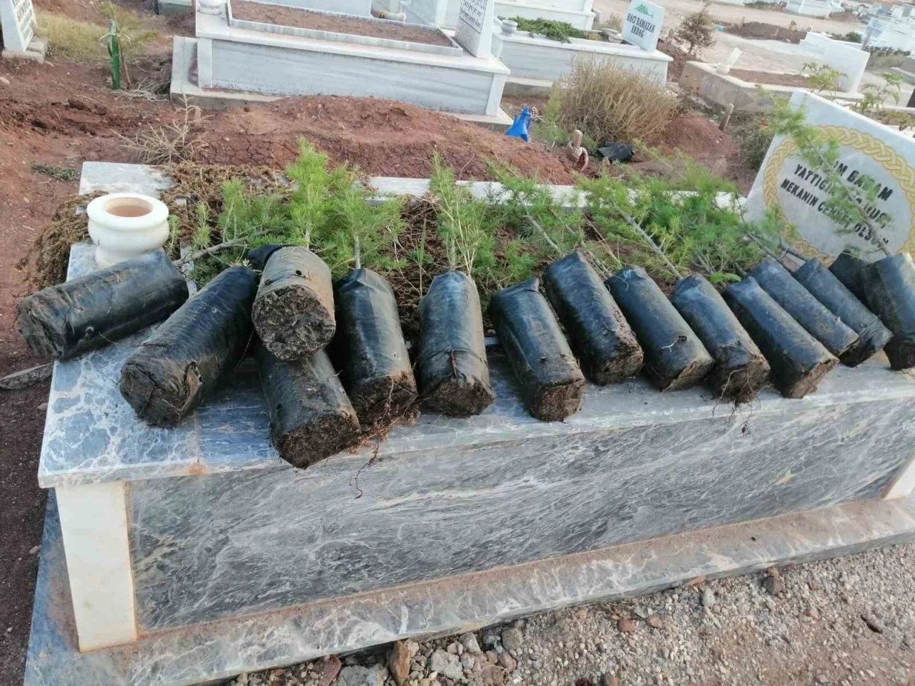 Anneler Günü’nde mezarlıkları yeşillendirdiler
