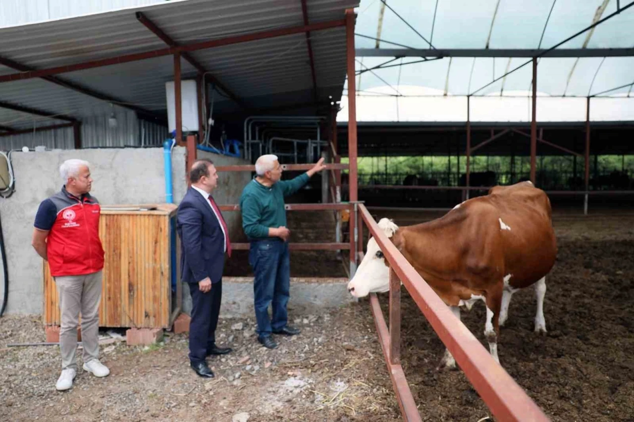 ‘Anneleri Aşılat, Buzağını Yaşat’ projesi eğitim toplantısı yapıldı
