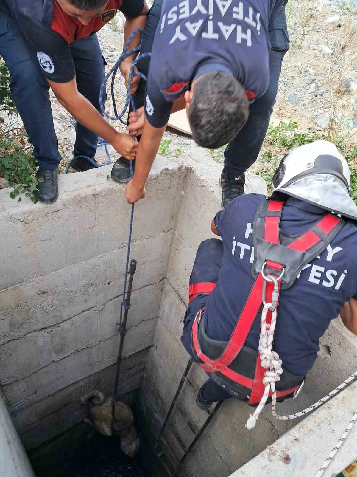 Antakya’da 10 metrelik kuyuya düşen köpeği itfaiye kurtardı
