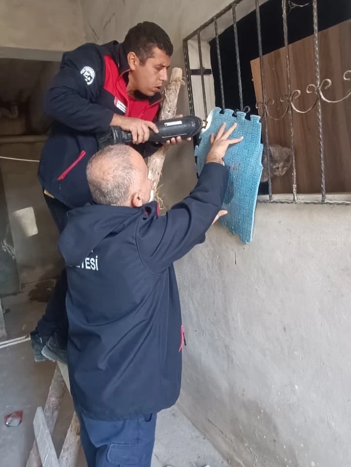 Antakya&rsquo;da kedi kurtarma operasyonu
