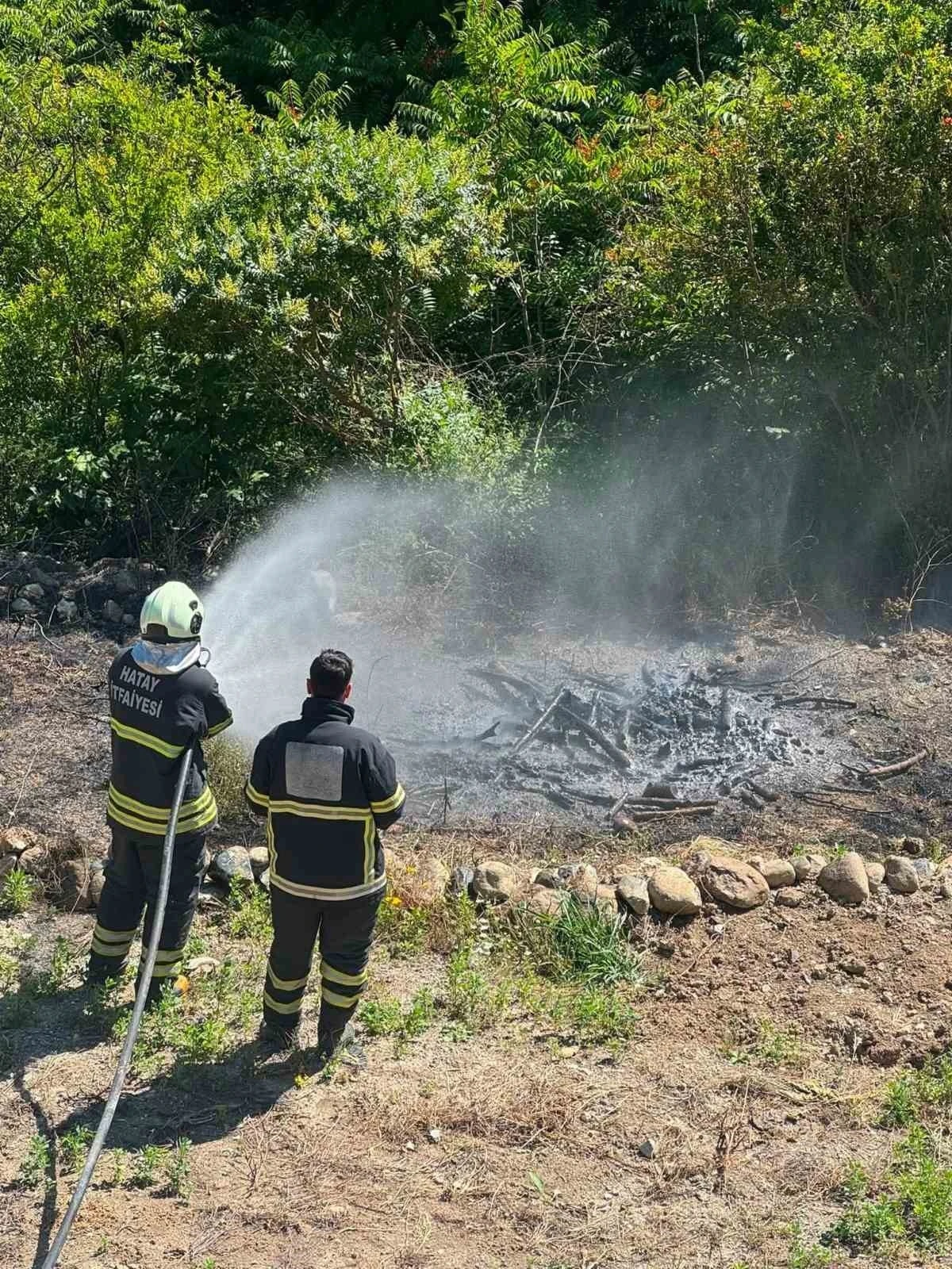 Antakya&rsquo;da zeytinlik alan yangını
