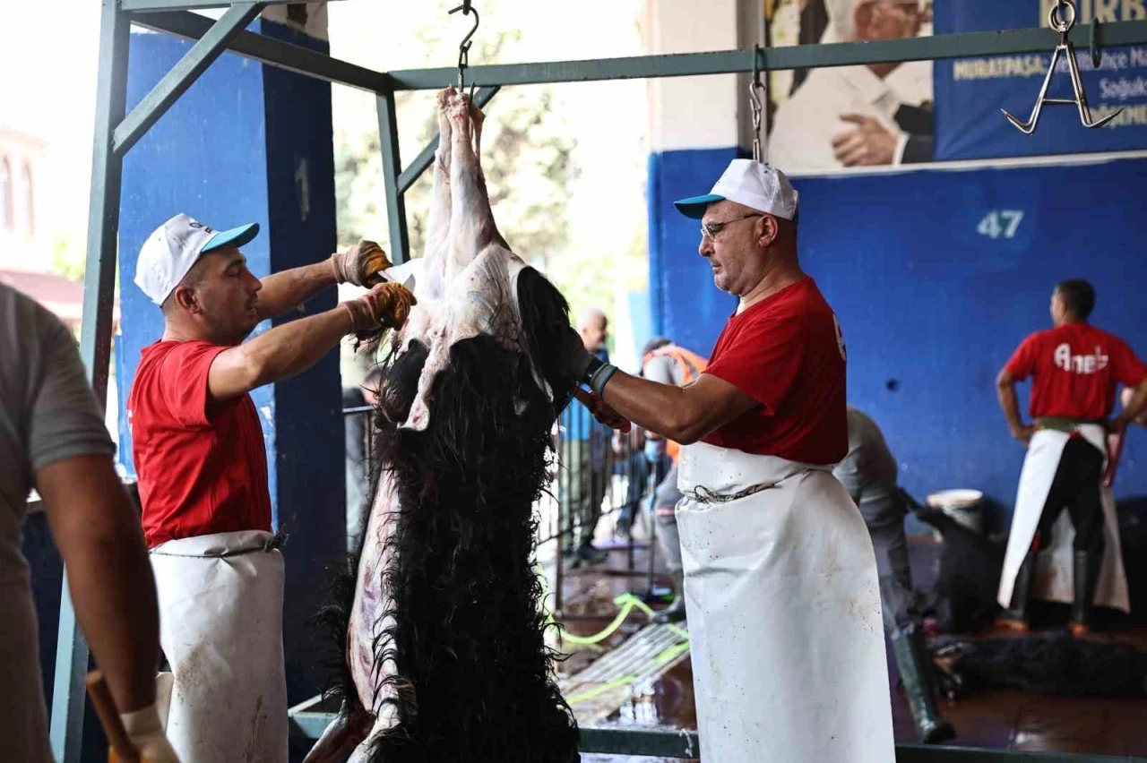 Antalya Büyükşehir Belediyesi’nden hijyenik ortamda ücretsiz kurban kesim hizmeti
