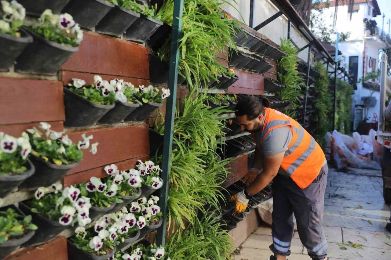 Antalya’da 4 milyon çiçek toprakla buluşuyor
