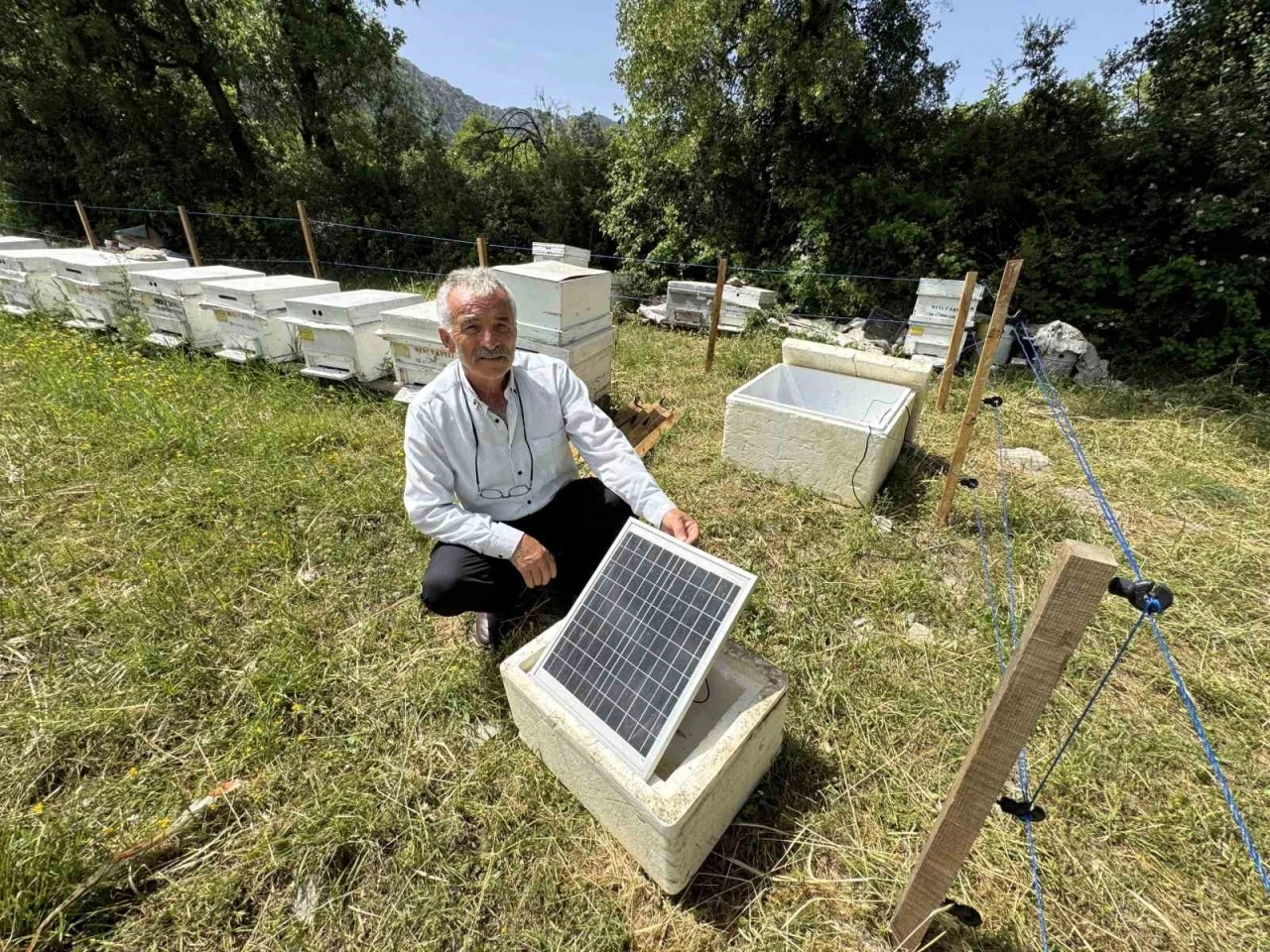 Antalya’da arı kovanlarına dadanan ayılara elektrik telli önlem
